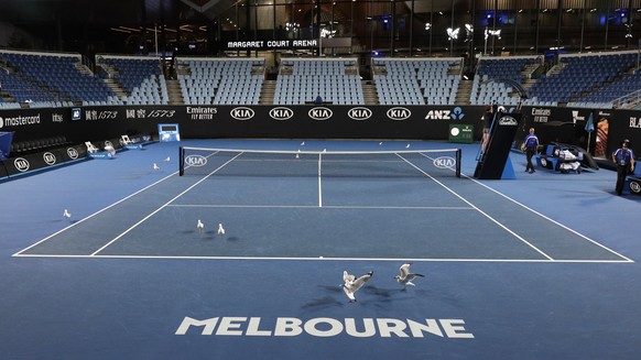 Seagulls rest on Margaret Court Arena after the second round matches were completed on the court at the Australian Open tennis championships in Melbourne, Australia, Wednesday, Jan. 16, 2019. (AP Phot ...