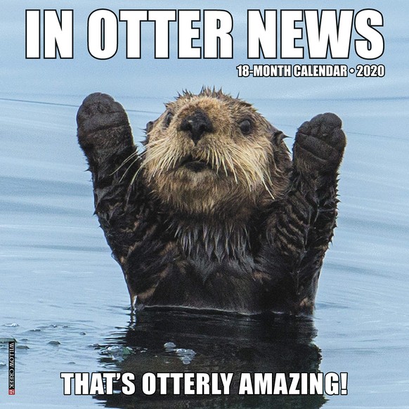in otter news kalender 2020 lina picdump tier jö https://www.amazon.com/Otter-News-2020-Wall-Calendar/dp/154920677X