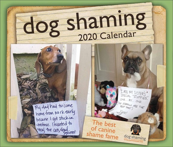 dog shaming calendar 2020 kalender https://www.calendarclub.co.uk/humour/animal-humour/dog-shaming-desk-calendar-2020-r241701