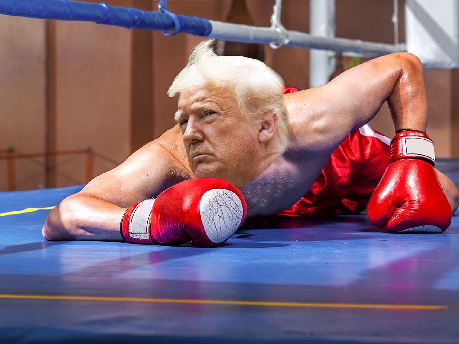 Boxer Trump