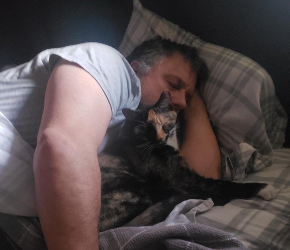 Katze mit Mann im Bett erwischt