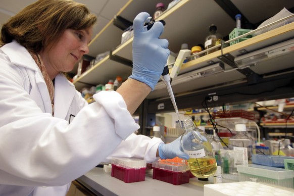 FILE - In this March 16, 2012, file photo, researcher Terry Storm works in a stem cell research lab at the Lorry I. Lokey Stem Cell Research Building on the Stanford University campus in Palo Alto, Ca ...