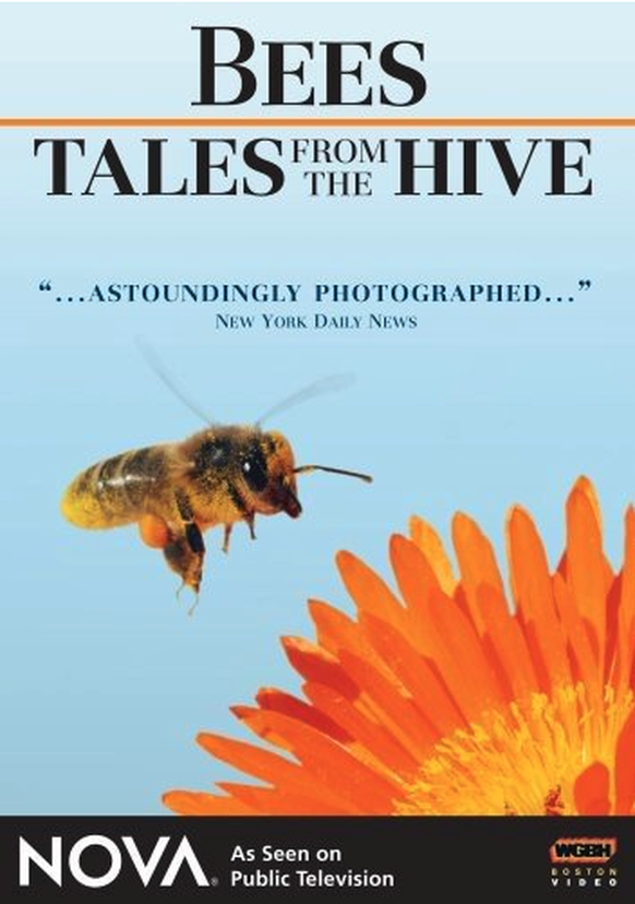 Bees - Tales from the Hive