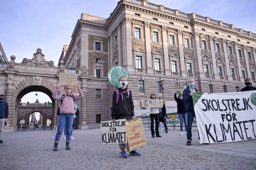 Swedish climate activist Greta Thunberg, center, holding a sign reading &quot;School strike for Climate&quot;and others protest in front of the Swedish Parliament Riksdagen in Stockholm Friday, Sept.  ...