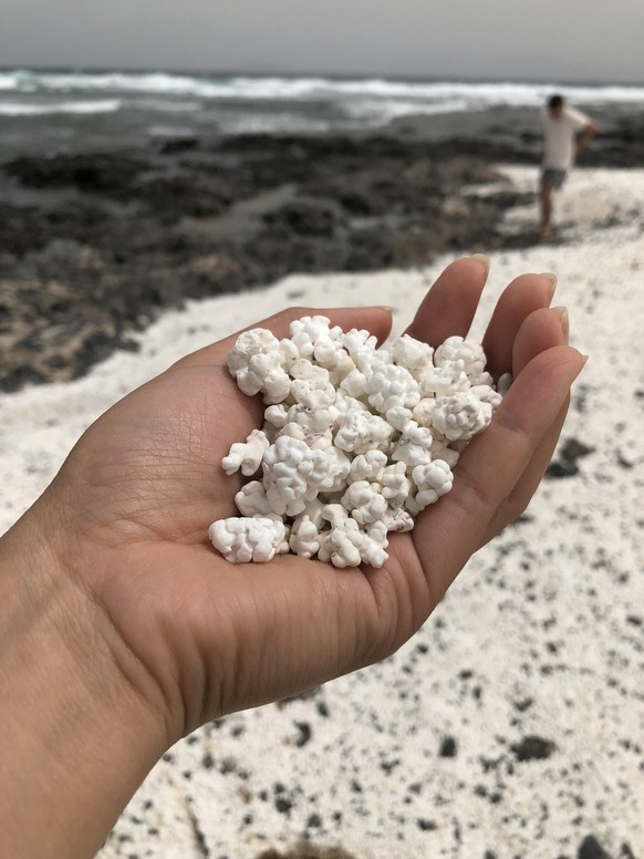 Das sind Steine am Strand von Fuerteventura.