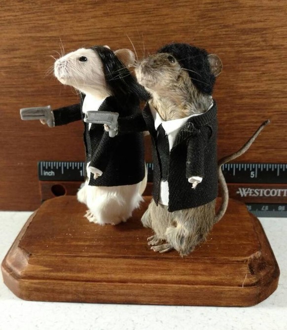 pulp fiction ratten taxidermie tierpräparate film quentin tarantino 

https://www.etsy.com/listing/169998255/taxidermy-pulp-rodents?show_sold_out_detail=1&amp;awc=6220_1611670582_904472979c942c6462ac0 ...