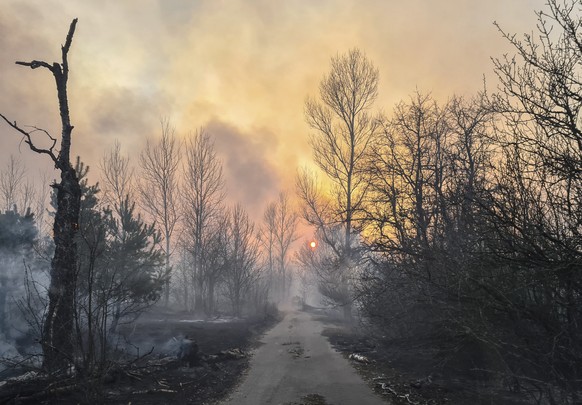 epaselect epa08348351 A forest fire burns near the village of Volodymyrivka, in the exclusion zone around the Chernobyl nuclear power plant, Ukraine, 05 April 2020 (issued 07 April 2020). Ukraine&#039 ...