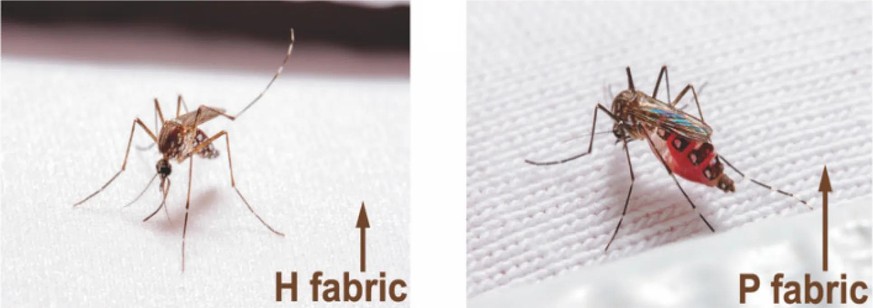 Mosquito morphometrics, model prediction based on mosquito morphometrics, impact of fabric distortion on biting, and comparison of non-insecticide versus insecticide-treated textiles for bite resistan ...