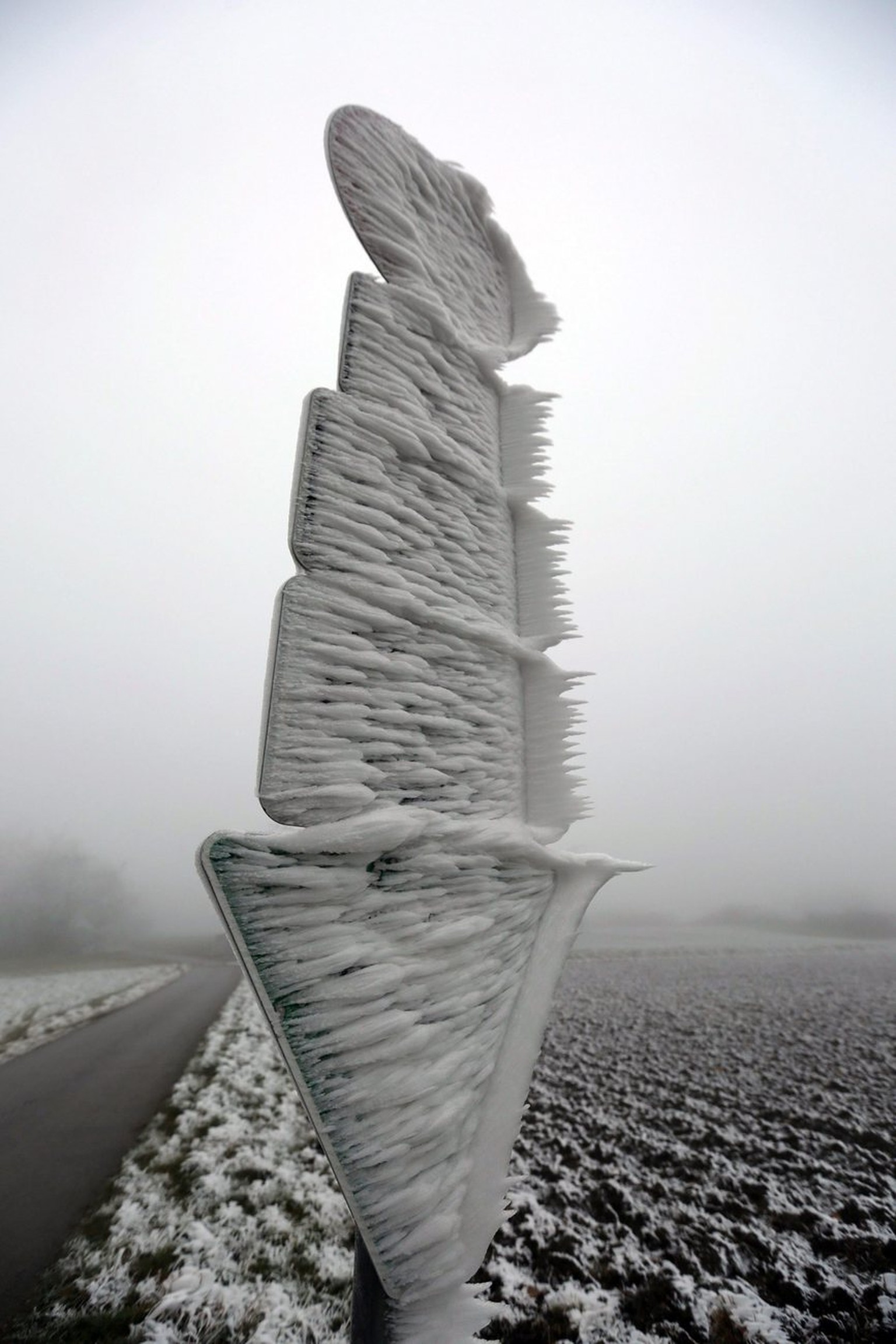 So drastische Raureifskulpturen schuf der Frost am 1. Dezember 2014 beim deutschen Westerheim.