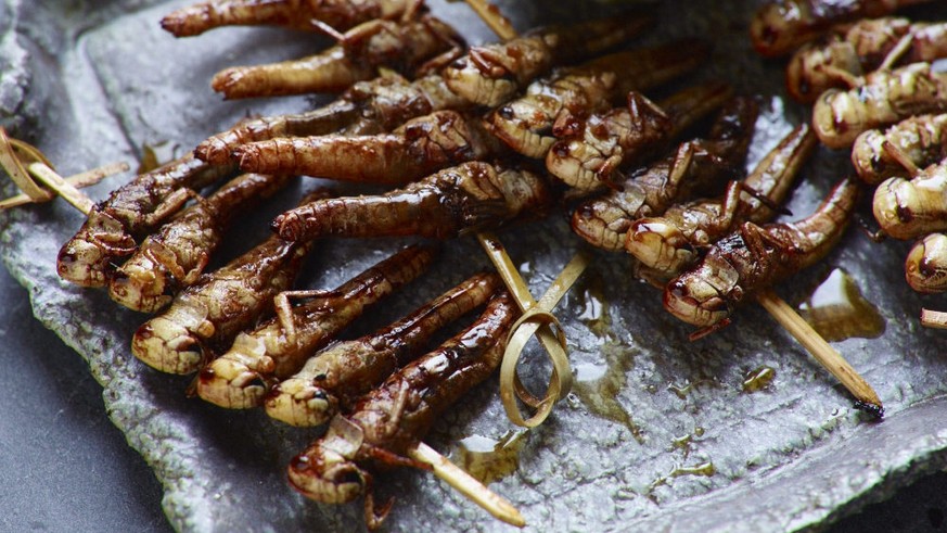 teriaky heuschreckenspiess insekten krabbel küche essen food grillen heuschrecken mehlwürmer buffalo würmer schweiz https://www.essento.ch
