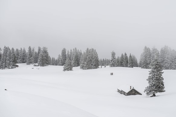 Switzerland, Canton of St. Gallen, Alp Toggenburg, Alp above Alt St. Johann in winter KEB000079