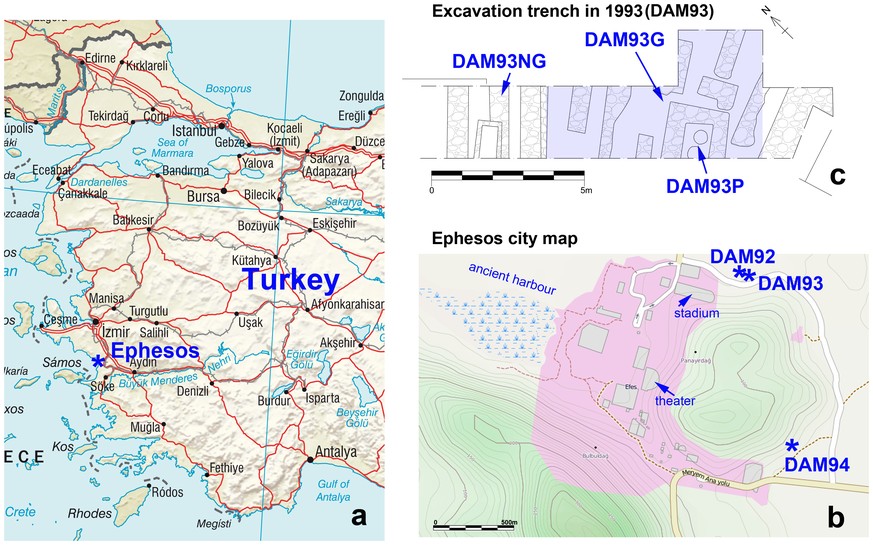 Lage des antiken Ephesos (a), Plan von Ephesos mit Ausgrabungsstätten (b), Details der Ausgrabung mit Gladiatoren-Friedhof (DAM93G) (c).&nbsp;