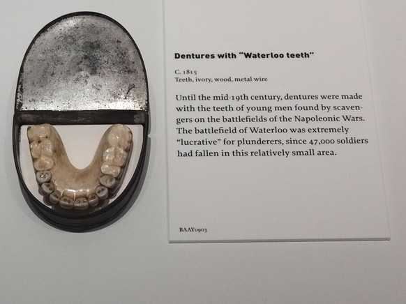 Übersetzung: «Bis Mitte des 19. Jahrhunderts wurden Zahnersatze aus Zähnen hergestellt, die von Plünderern auf den Schlachtfeldern der Napoleonischen Kriege gefunden wurden. Das Schlachtfeld von Water ...