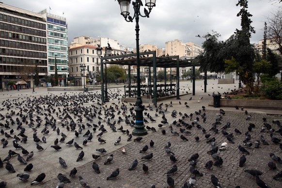epa08316109 Pigeons gather at a square qith no people in Athens, Greece, 23 March 2020. Curfew as an additional stricter measure to avoid the spread of coronavirus came into force at 6am, announced on ...