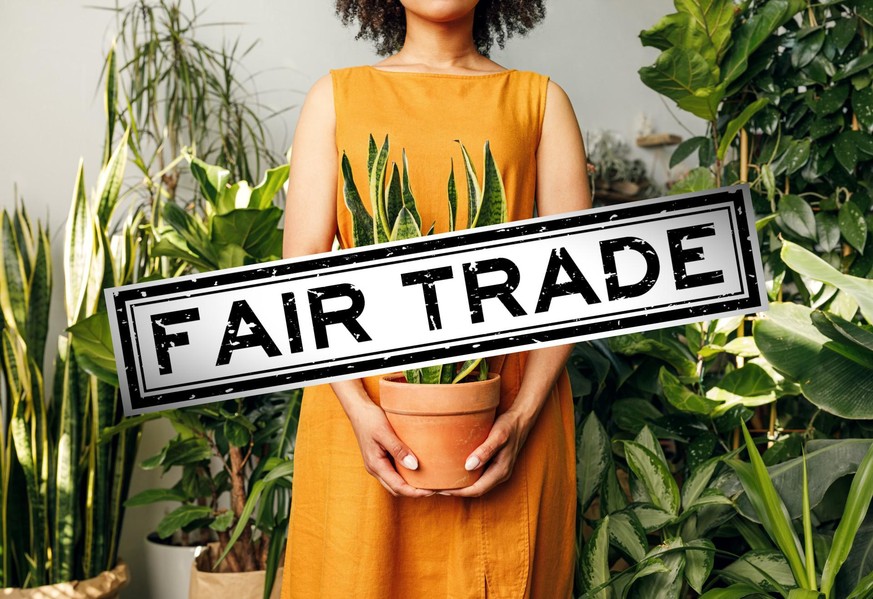 fair trade, pflanze, plant, zimmerpflanze
