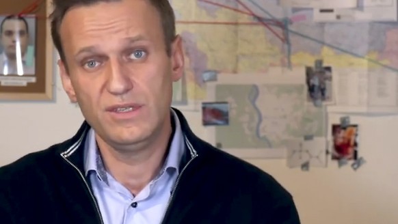 HANDOUT - Alexej Nawalny, Oppositionsf