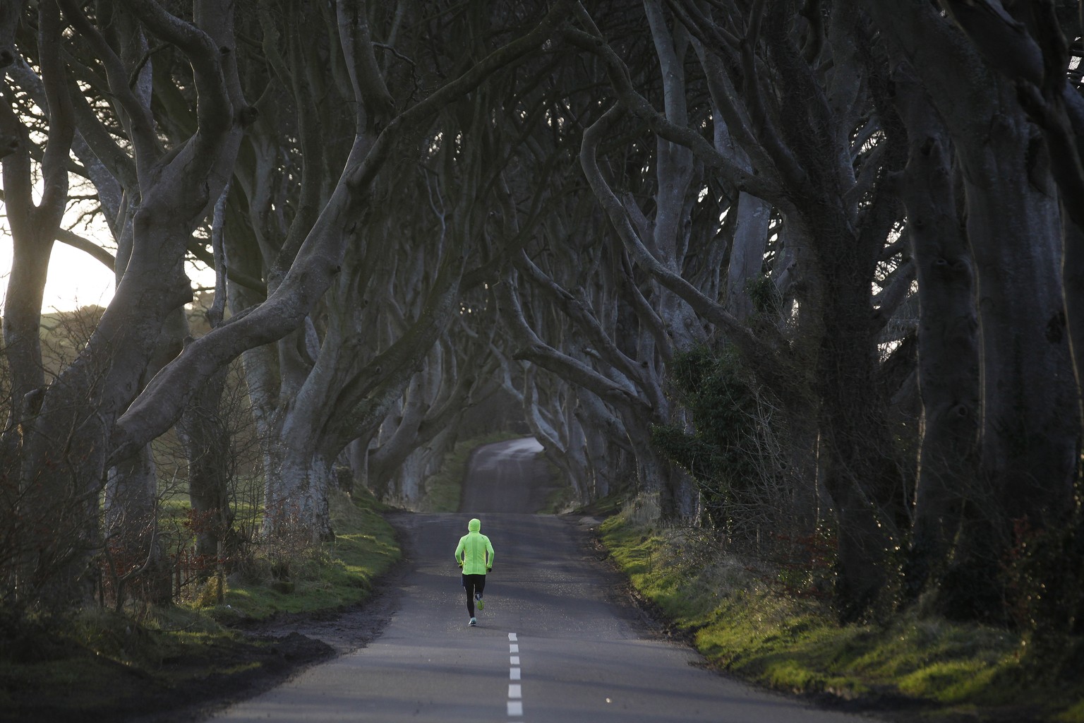 A jogger runs along Bregagh Road at Dark Hedges, Armoy, Northern Ireland, Wednesday, Feb. 10, 2016. Road markings have been painted by mistake on the world famous road that features the Dark Hedges tr ...