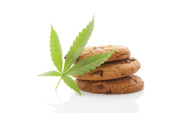 space cookie, haschkeks, marihuana, gras