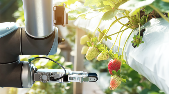 «Smart Farming»: Die Digitalisierung der Landwirtschaft soll helfen, Pestizide zu reduzieren oder gar komplett zu ersetzen.