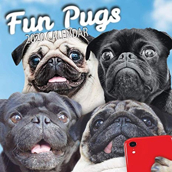fun pugs calendar mops möpse hund jö kalender 2020 https://www.amazon.com/Fun-Pugs-2020-Wall-Calendar/dp/B07QJ6GV2R
