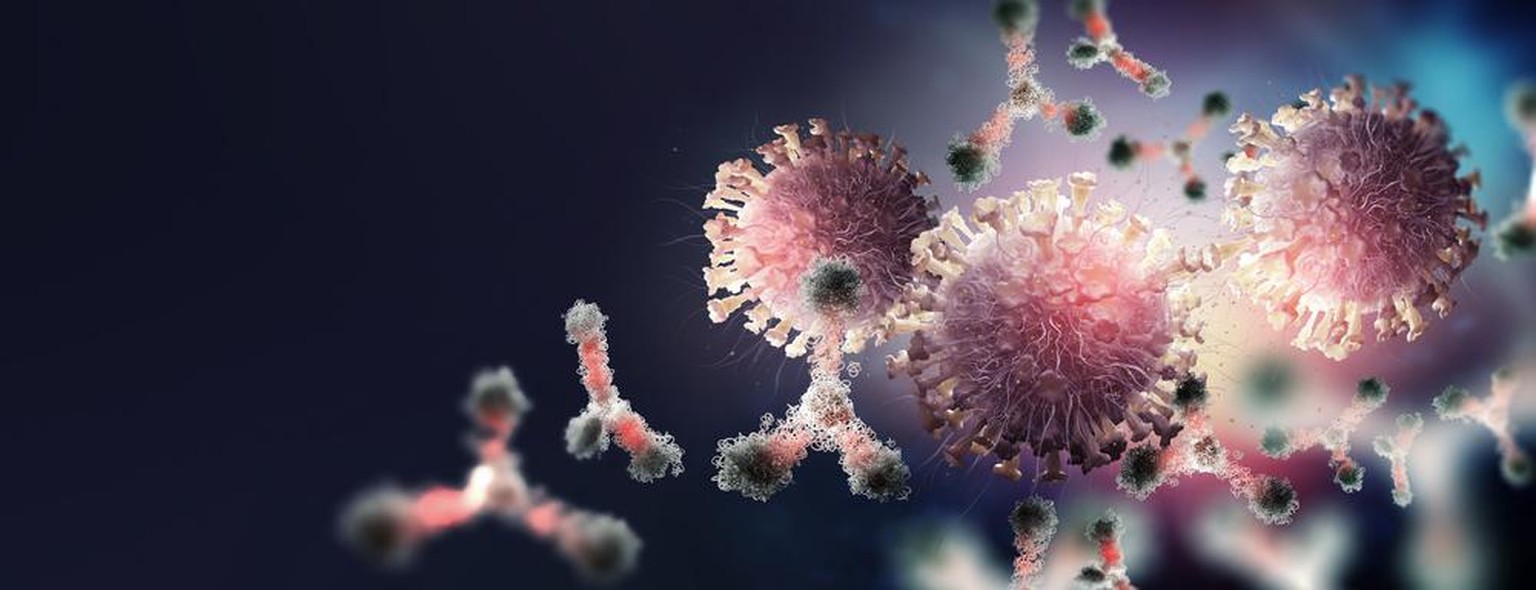 Darstellung Coronavirus, Antikörper
