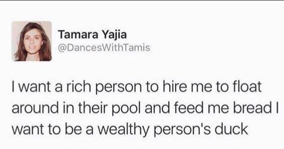 Ich möchte von jemand Reichem angestellt werden, um in dessen Pool zu schwimmen und von ihm mit Brot gefüttert zu werden, ich möchte die Ente einer wohlhabenden Person sein.