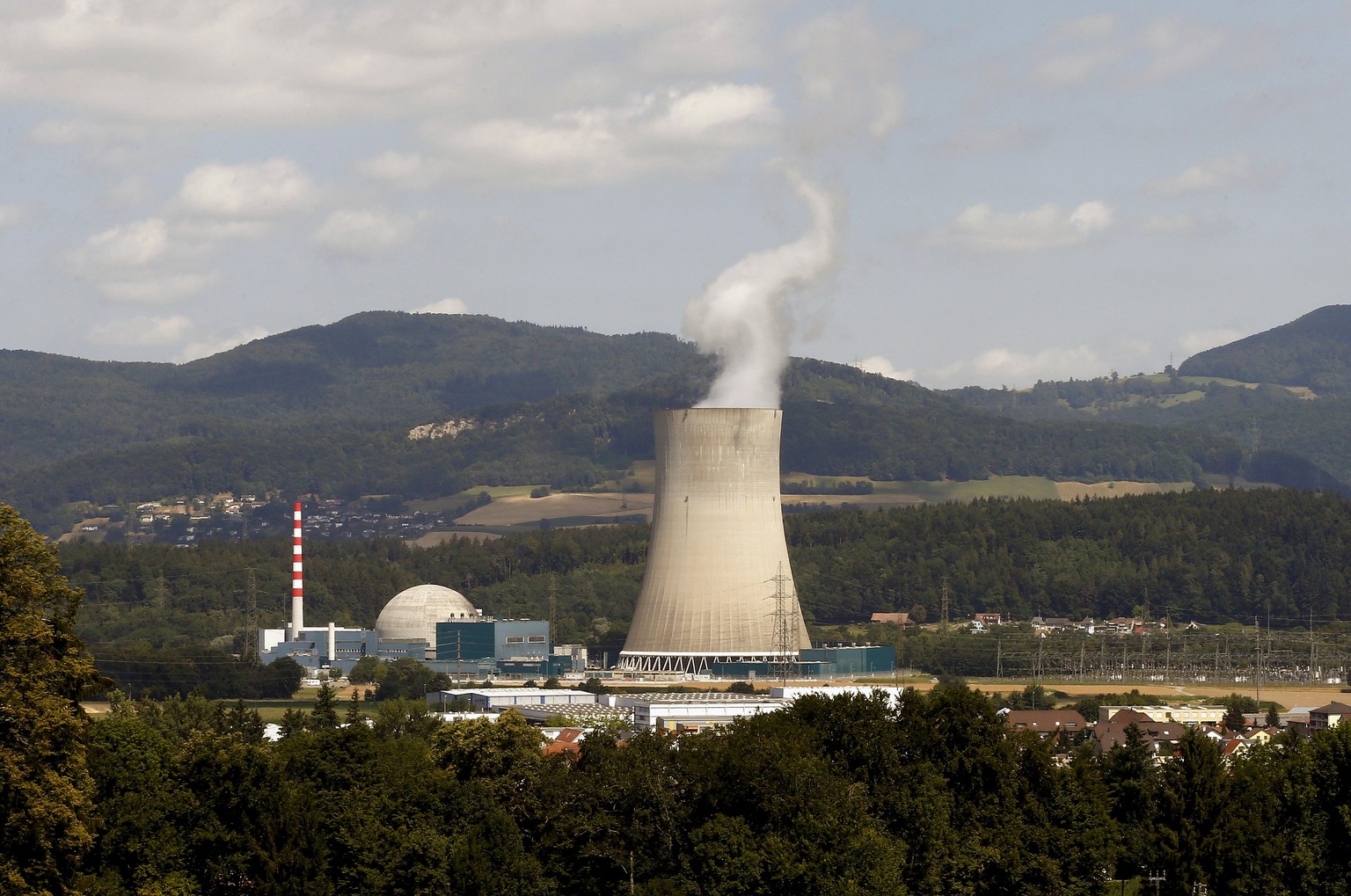 A general view shows the Swiss nuclear power plant Goesgen near the town of Daeniken west of Zurich July 15, 2015. REUTERS/Arnd Wiegmann