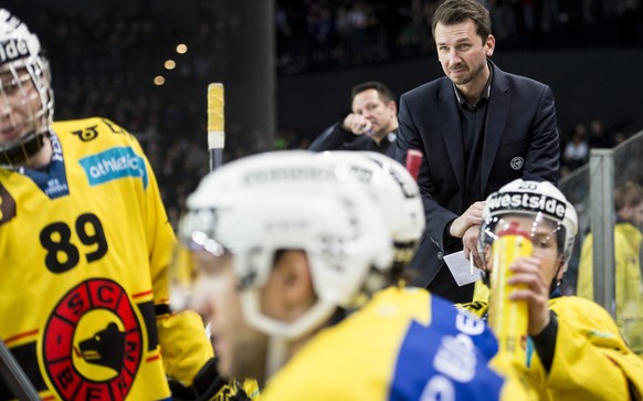 Lars Leuenberger: Trickst der SCB-Trainerlehrling den Stanley-Cup-Sieger aus?