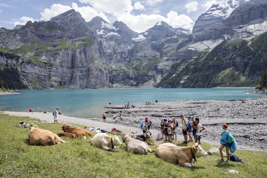People walk around the lake of Oeschinen &quot;Oeschinensee&quot; (1578 meters above sea) next to cows and enjoy the view and the mountains, above Kandersteg, in the Bernese Oberland, this Sunday, Jul ...