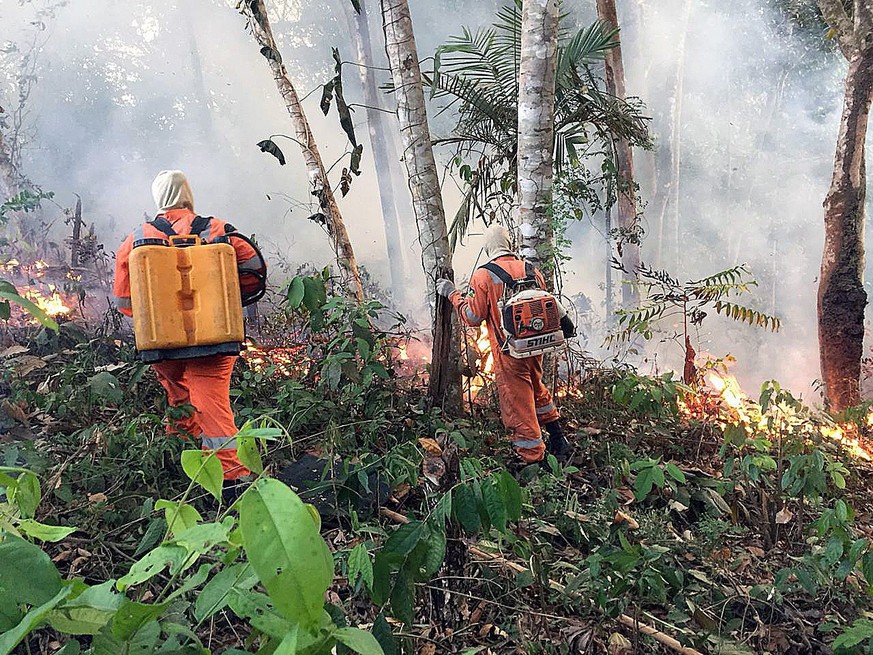 epa07787034 A handout picture provided by Porto Velho&#039;s Firefighters shows a fire at the Brazilian Amazonia, in Porto Velho, capital of Rondonia, Brazil, 18 August 2019 (issued 22 August 2019). T ...