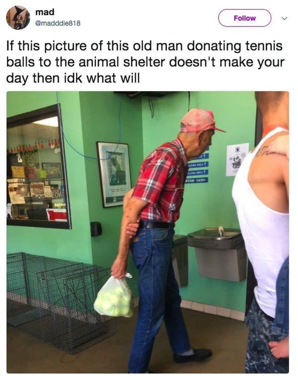 «Wenn dieses Bild von einem alten Mann, der einem Tierheim Tennisbälle spendet, deinen Tag nicht rettet, dann weiss ich auch nicht.»