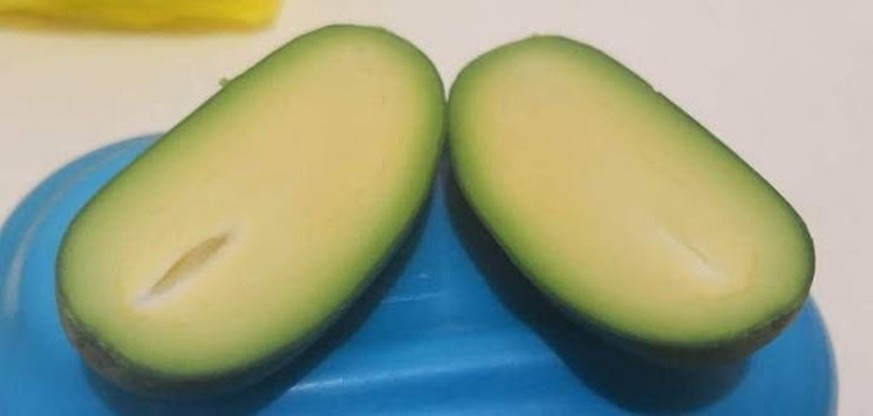 avocado ohne stein gemüse essen food bio http://planete.qc.ca/non-classe/galerie-images-droles-insolites-et-sexy-n829-54-photos