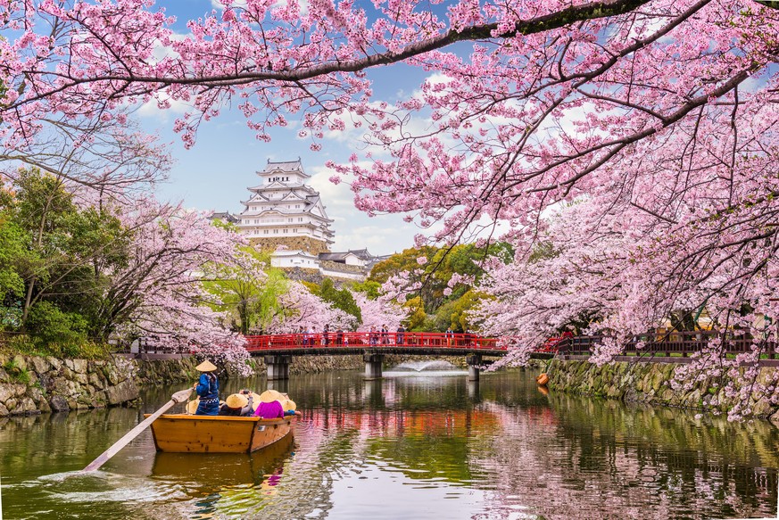Kirschblüte Japan 2021