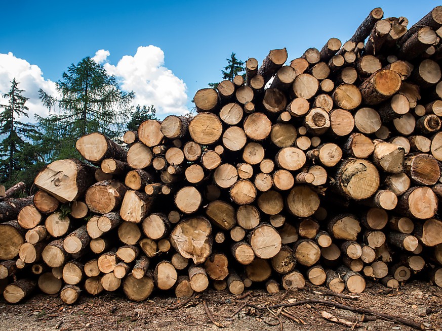 Die Forstwirtschaft hat im vergangenen Jahr wieder durchschnittlich viel Holz geernet, nachdem im Vorjahr wegen Sommerhitze, Borkenk�ferbefall und Winterst�rmen ausserordentlich viel Holz geerntet wur ...