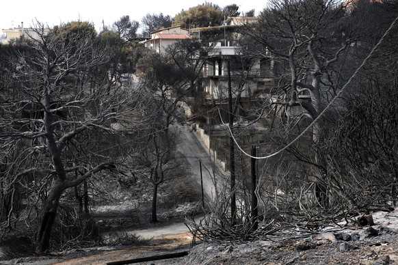 epaselect epa06912188 A fire damaged area with houses in Rafina, Attica, Greece, 26 July 2018, following a deadly forest fire. The confirmed death toll from forest fires that raged through seaside res ...