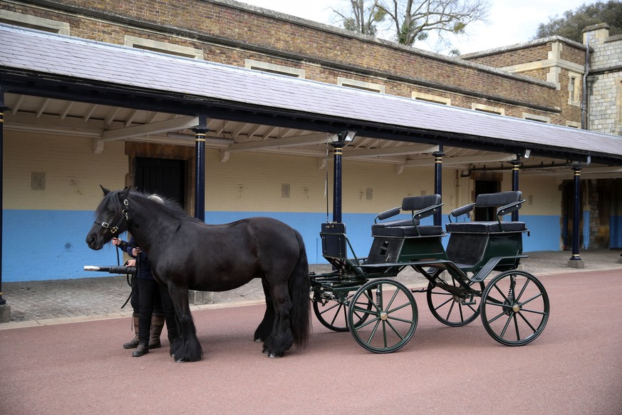 The driving carriage and two Fell ponies, Balmoral Nevis and Notlaw Storm, belonging to Britain&#039;s Prince Philip is pictured at Windsor Castle, England, Wednesday, April 14, 2021. The Duke&#039;s  ...
