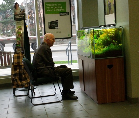 Alter Mann vor dem Aquarium