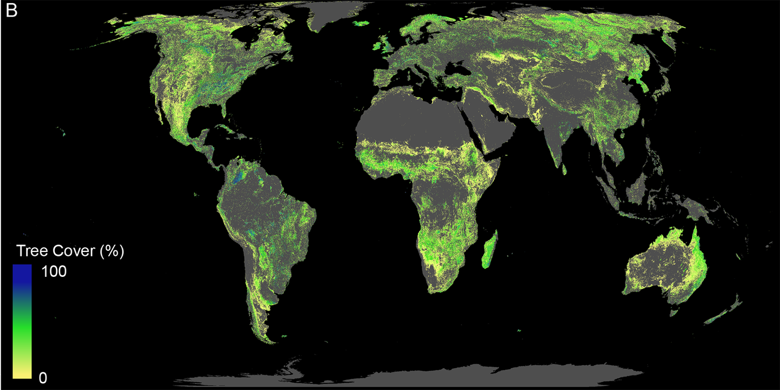 Diese Fläche ist für die Wiederaufforstung von Wäldern verfügbar (ohne bestehende Wälder, Landwirtschaftsflächen, Wüsten und Städte).