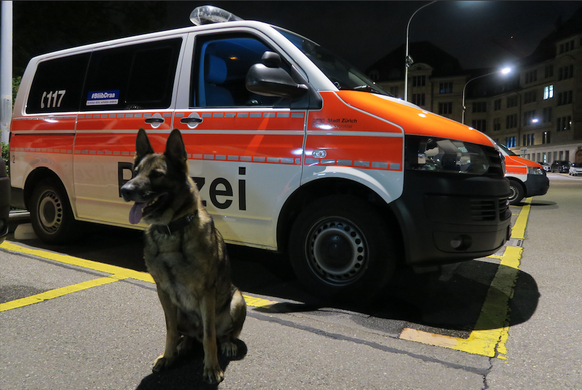 Polizeihund Romolus stellt am Bahnhof Stadelhofen drei Einbrecher