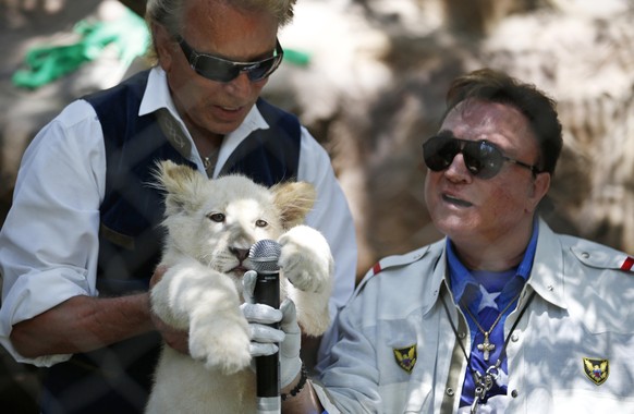 FILE - In this Thursday, July 17, 2014, file photo, Siegfried Fischbacher, left, holds up a white lion cub as Roy Horn holds up a microphone during an event to welcome three white lion cubs to Siegfri ...