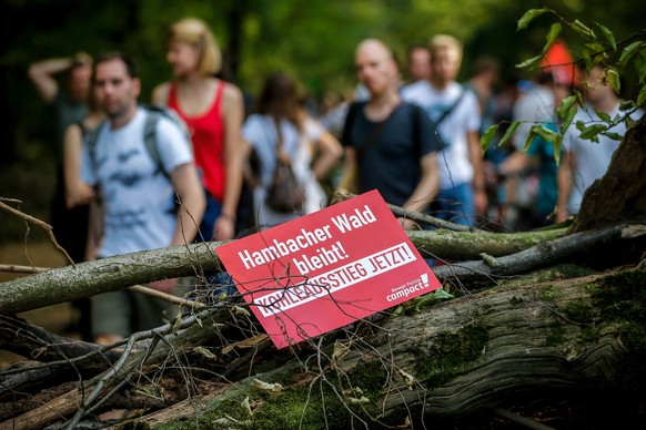 epa07074158 A placar reads &#039;Hambach Forest stays - Coal out now!&#039;, as activists gather in the forest Hambacher Forst to protest against its deforestation in Kerpen-Buir, Germany, 06 October  ...