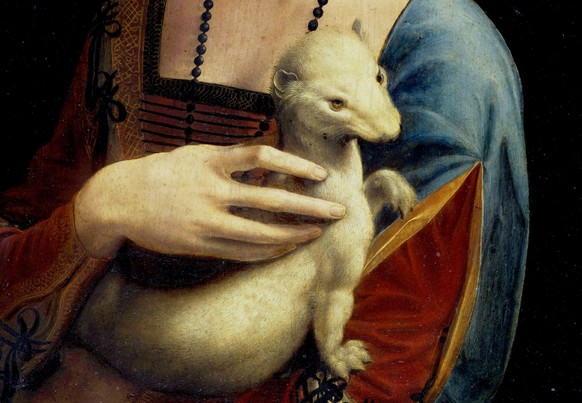 Das Hermelin – eine Anspielung auf Cecilias Reinheit oder doch eher auf die Männlichkeit des Herzogs von Mailand?