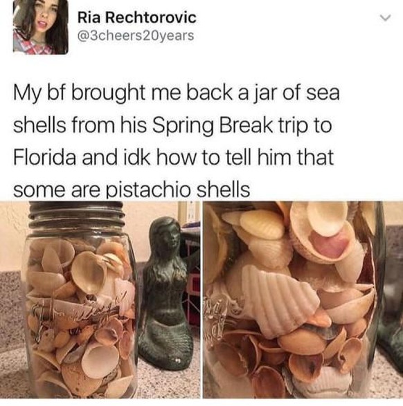 Er hat seiner Freundin ein Glas voller Muscheln aus Florida mitgebracht. Ein paar der «Muscheln» sind allerdings ... Pistazien-Schalen.