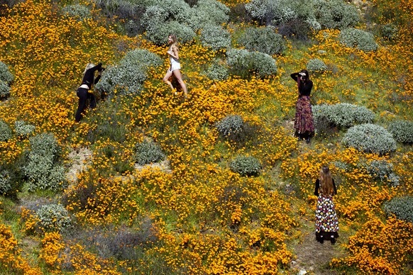 epa07424021 Girls take &#039;fashion&#039; pictures of each other in the middle of a poppy fields on a slop of Walker Canyon near Lake Elsinore, California, USA, 08 March 2019. The heavy rains in Cali ...