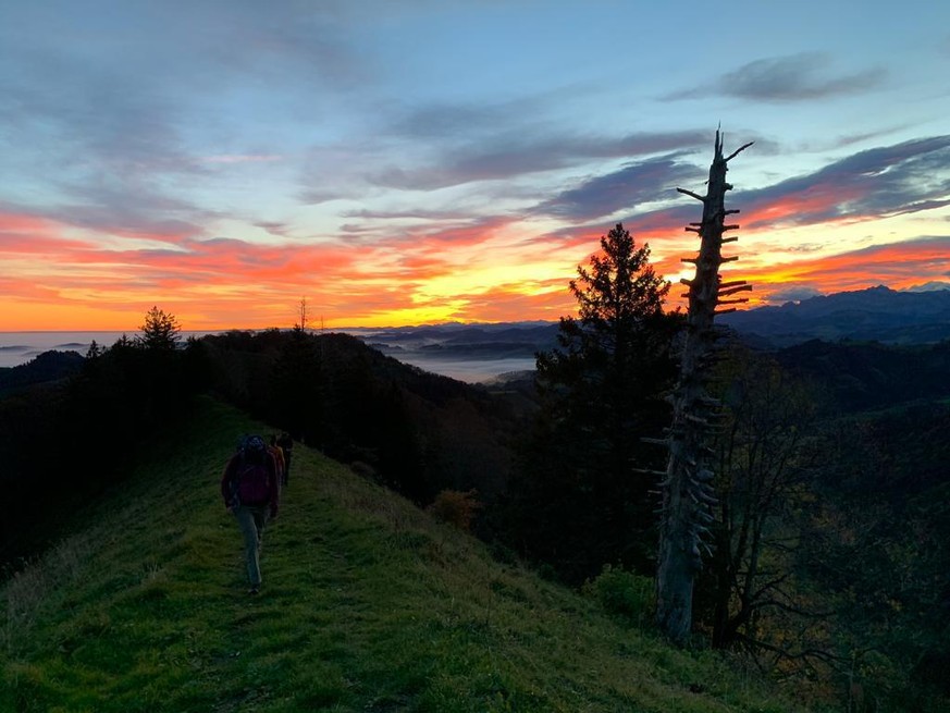 Wer Chancen auf so ein Farbenspektakel haben will: früh aufstehen und den Sonnenaufgang auf dem höchsten Punkt von Zürich geniessen.