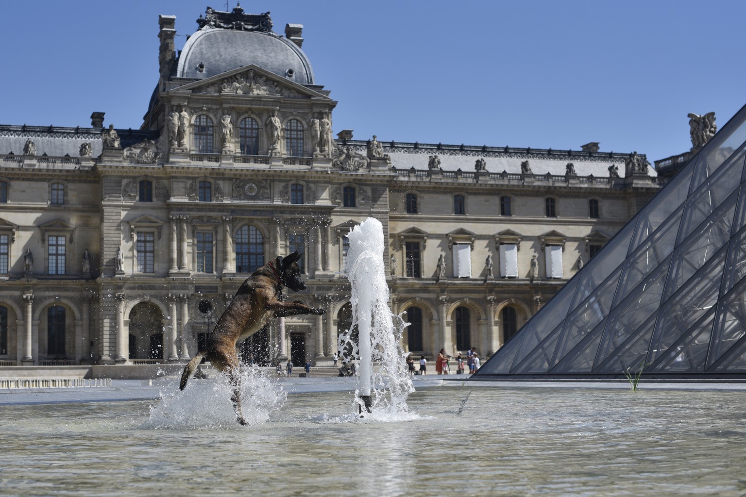 epa08590116 A dog jumps in the water of the Louvres museum fountains as a heatwave rolls over Paris, France, 07 August 2020. In France, 53 departments are on drought and heat wave alert. EPA/Julien de ...