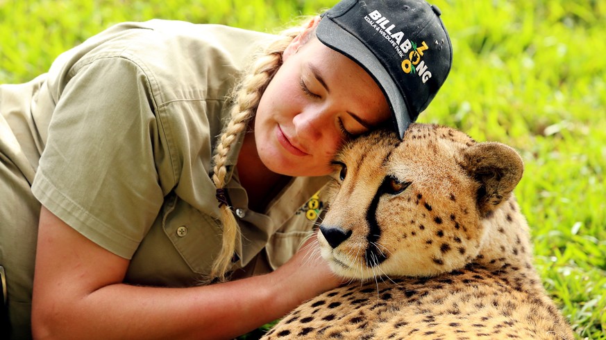 epaselect epa08337937 Keeper Brooke Rayner pats a cheetah at the family-owned Billabong Zoo, which was forced to close to the public due to coronavirus, in Port Macquarie, New South Wales, Australia,  ...