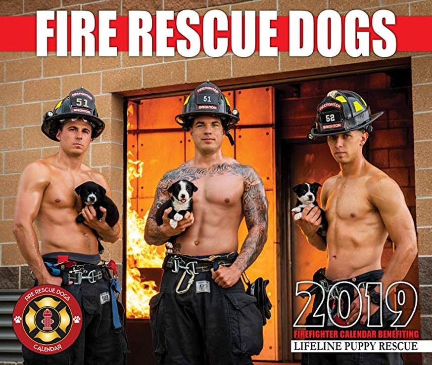 Fire Rescue Dogs 2019 Calendar https://www.amazon.com/2019-Fire-Rescue-Dogs-Calendar/dp/B07FZTP1FM/ref=pd_lpo_sbs_14_img_1?_encoding=UTF8&amp;psc=1&amp;refRID=R92E8JTP6XBJRB35EF5C