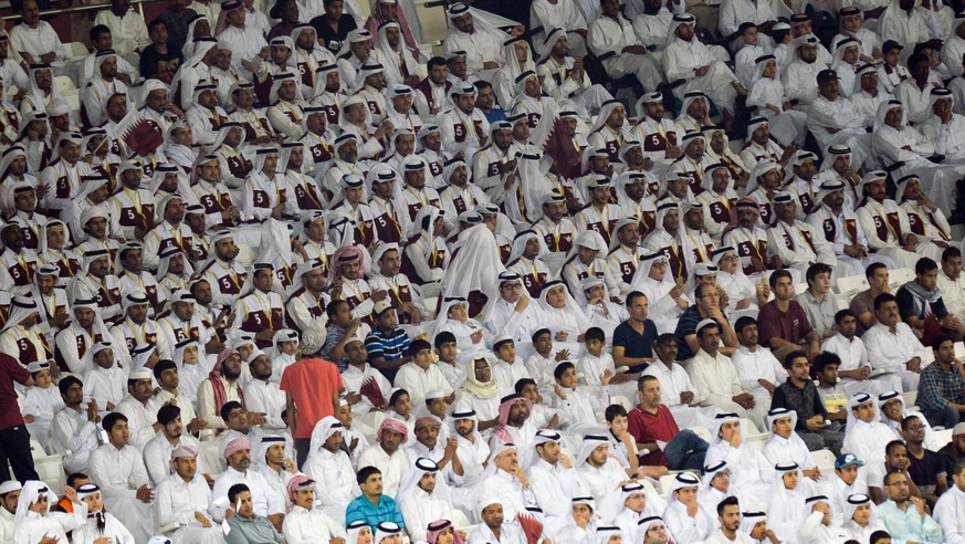 Fussballfans in Katar.