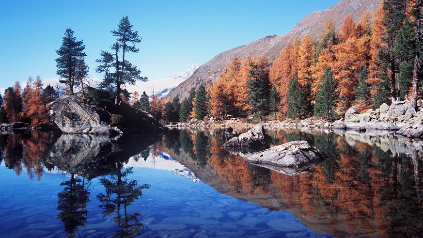 Herbstlich &#039;leuchten&#039; die Baeume am Ufer des Lago Saoseo im puschlaver Seitental Val di Campo, aufgenommen am Samstag, 20. Oktober 2001. Der Altweibersommer hat auch am Wochenende erneut Tau ...